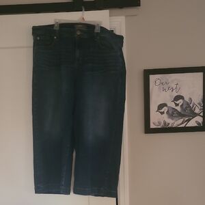 Torrid Dark Blue Ankle Jeans